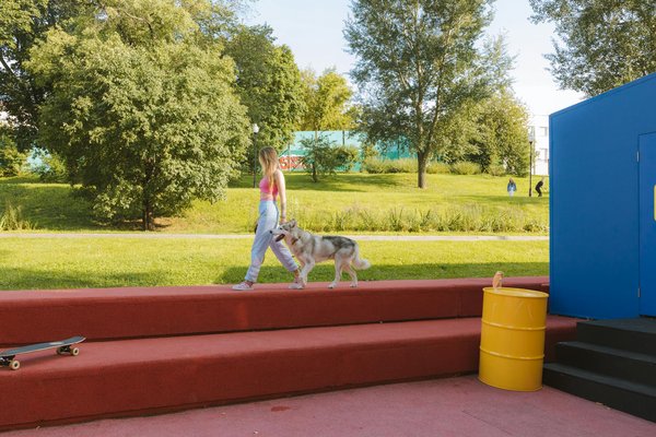 Les 10 plus belles races de chatons en images